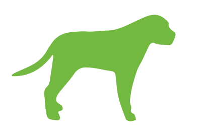 dog outline in green
