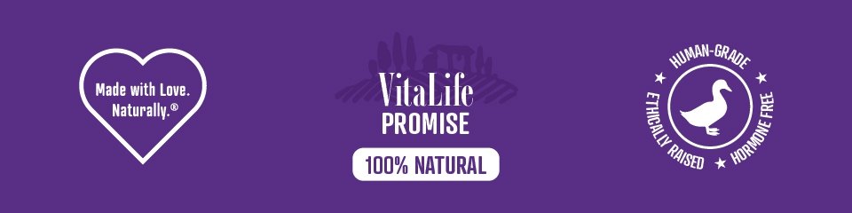 VitaLife Symbols banner in purple