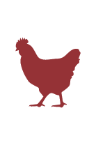 An outline of a chicken image