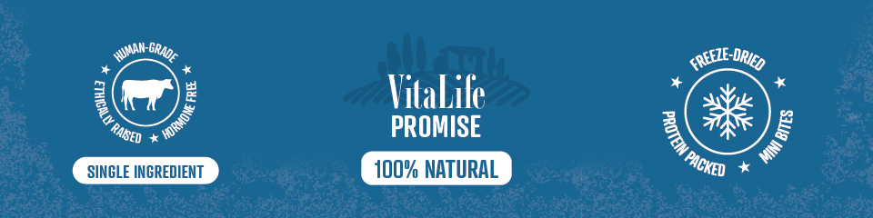 VitaLife symbols banner